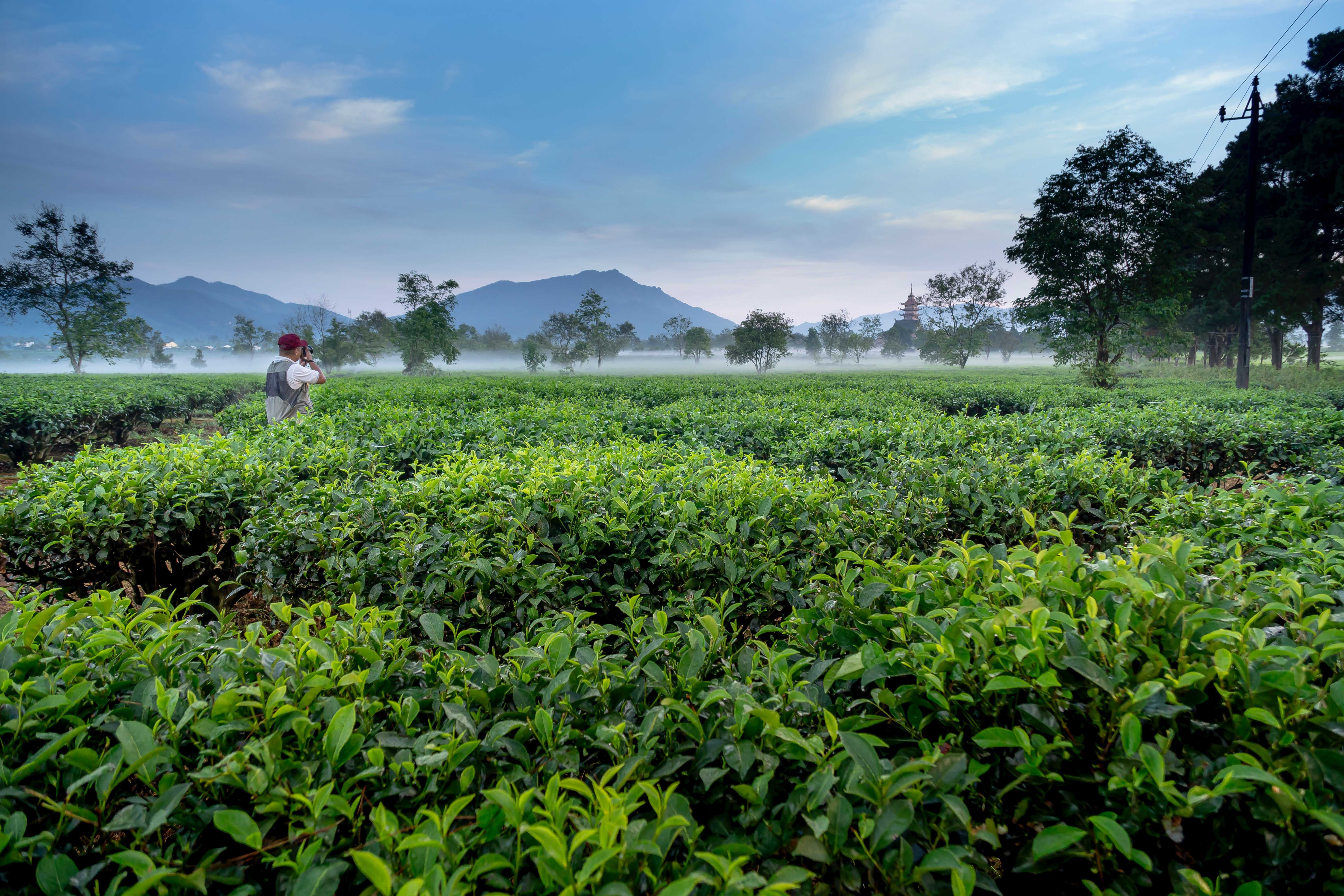 Sri Lanka S Tea Plantations Kalukanda House