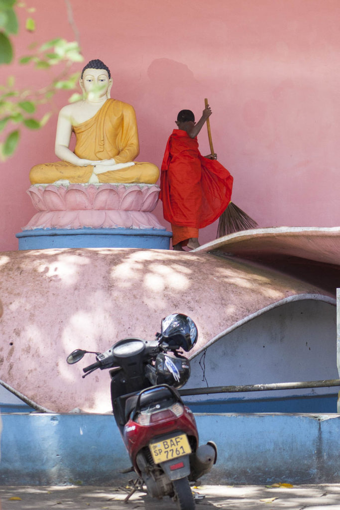 Trainee Monk at Temple
