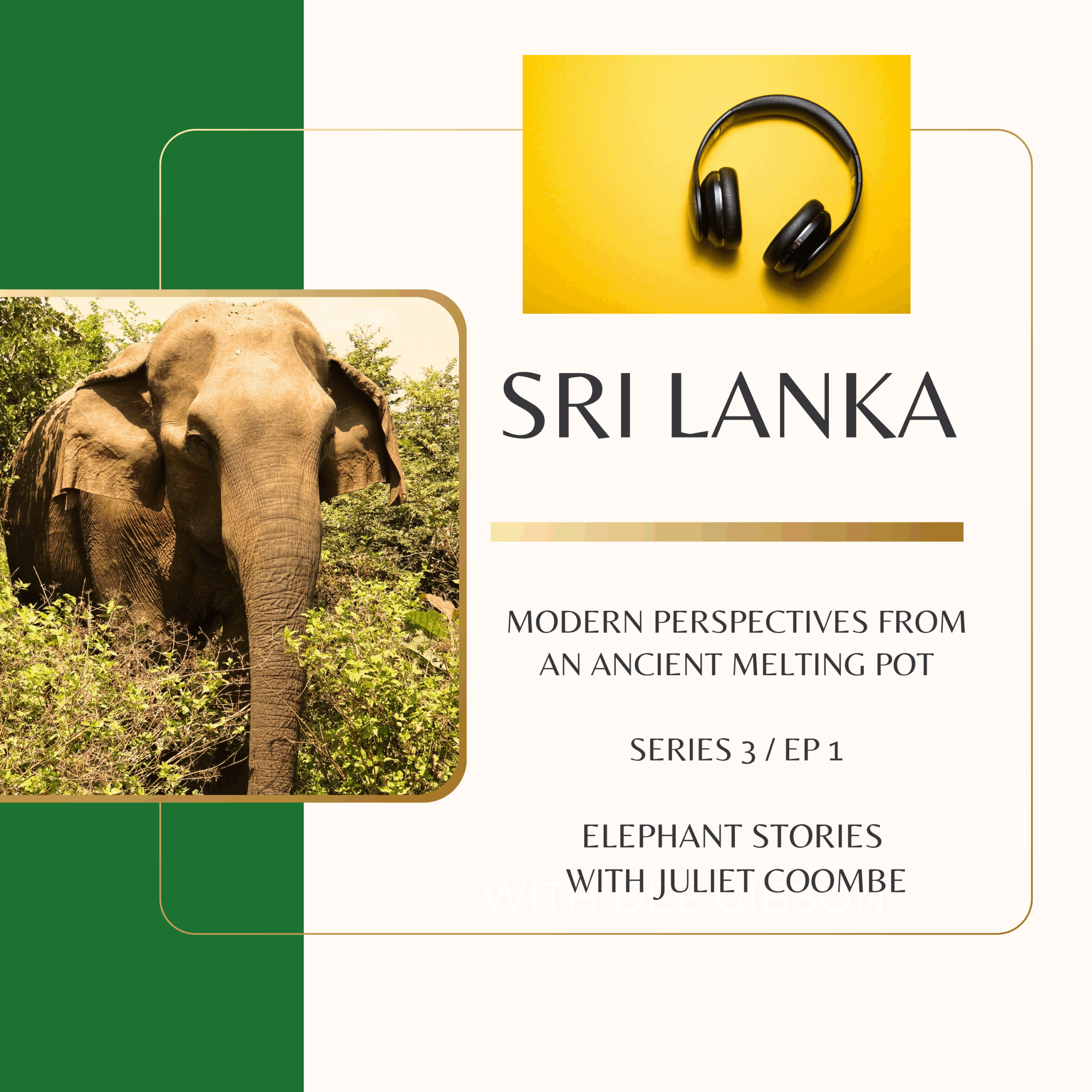 Elephant Story Trails Conservation with Juliet Coombe