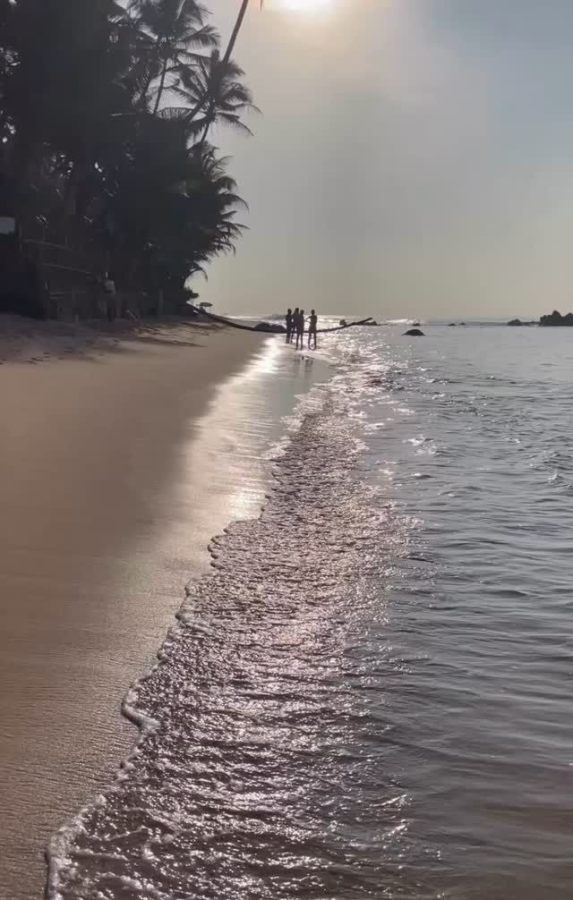 Just listen. Escape the digital. Mornings at the beach, only moments from Kalukanda House. 
 
 
 
 
 
#kalukandahouse #srilankatrip #srilankatravel #retreatspace #designerhome #hiphotels