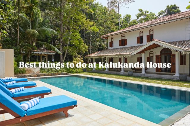 Best things to do in Weligama ~ here is a little inspiration on just a few ways to spend your days at Kalukanda House. From lounging to curious discovery, there is always something to dip into.
 
Morning walk to Weligama Beach, a hub of activity where local fishermen haul their catch in on beautiful boats that sit looking out to sea until the next time they push out. Yoga is the perfect way to climb out of a sleepy head and into your body followed by freshly cut seasonal fruit and a breakfast fit for kings. Day trip on elephant safari or visit the only White Tea plantation on the island and then rest in our gardens by the pool breathing in the beauty of tropical wildlife and plants. Swim with turtles and watch the newly hatched babies and float in the Indian Ocean after surfing the peeling gentle waves. Kandy dancers entertain you before a freshly cooked supper made to your taste maybe with the catch of the day, and round off the evening in the cabana with a game of cards while fire flies flit through the trees. 
 
Can you think of anything more gently sublime? 
 
 
 
 
 
#kalukandahouse #srilankatrip #bestthingstodoinweligama #weligama #surflife #elephantsafari #designhotel #discoversrilanka